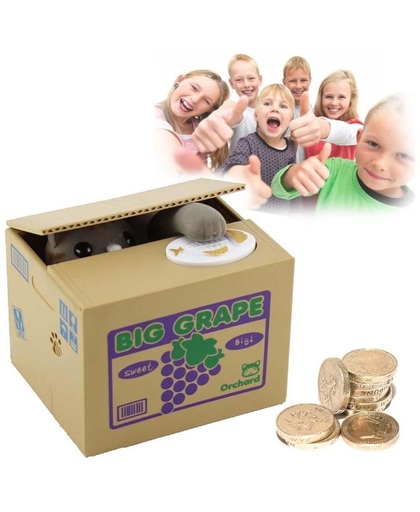 Kitty Bank Spaarpot - Kat Coin Piggy Bank - Spaargeld Spaarvarken - Money Box Spaardoos Mix Assorti