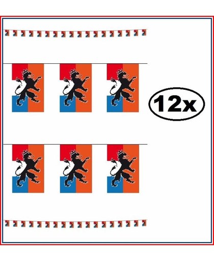 12x Holland vlaggenlijn recht 10 meter