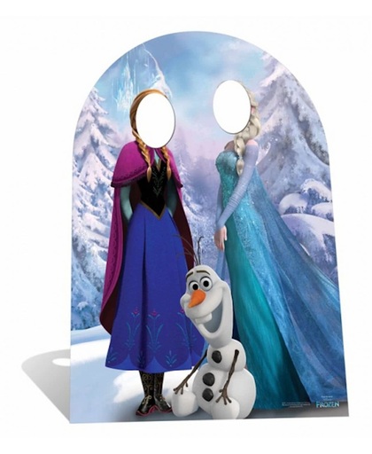 Foto stand-in bord Frozen