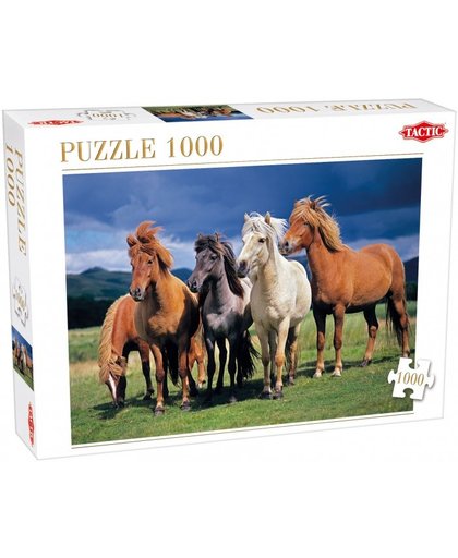 Tactic legpuzzel Camargue Horses 1000 stukjes