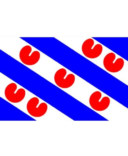 Friese vlag, vlag provincie Friesland 90 x 150