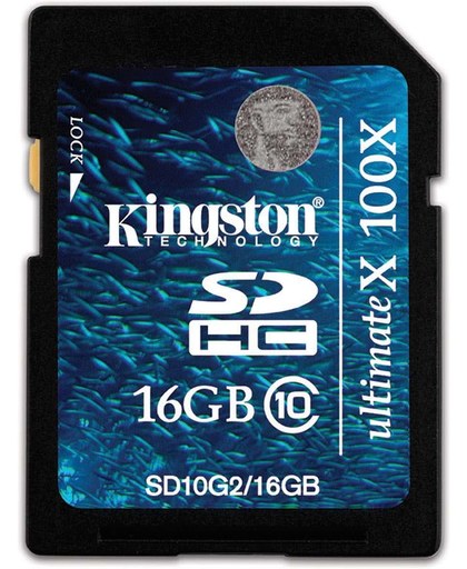 Kingston Technology 16GB SDHC Card 16GB SDHC Flash flashgeheugen