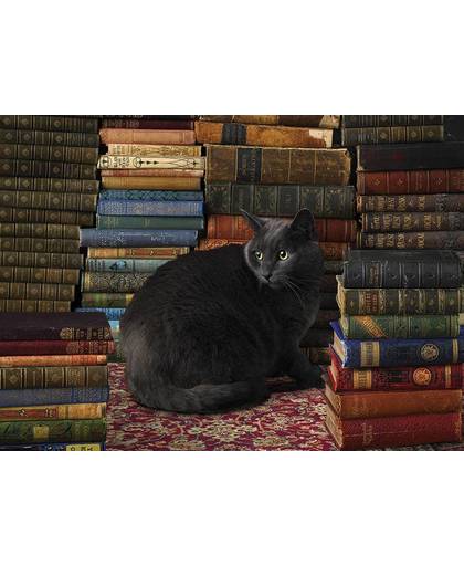 Cobble Hill Kat tussen de boeken - 1000 stukjes