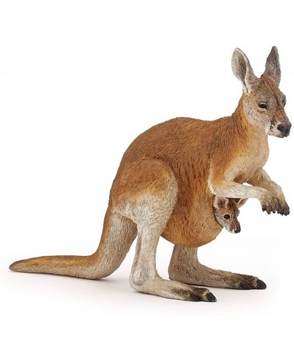 Kangoeroe met jong