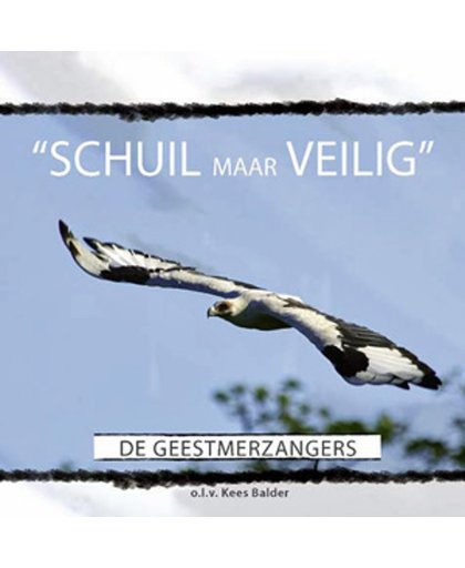 Dub de Vries - Schuil Maar Veilig