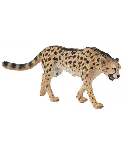 Collecta Wilde Dieren: Koning Cheetah