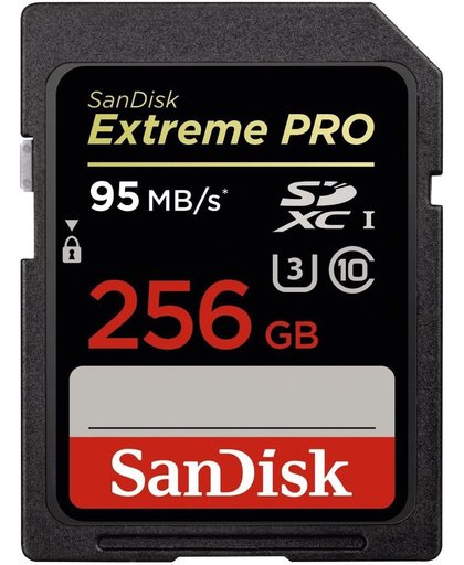 SanDisk SDXC Extreme Pro 256GB 95MB/s V30
