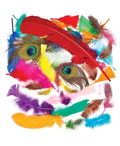 Voordeelpakket veren - creatieve hobbymateriaal voor decoratie maken en knutselwerkjes (1000 stuks)