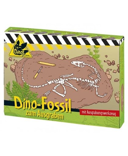 Moses dino fossiel Camarasaurus 18 cm terracotta