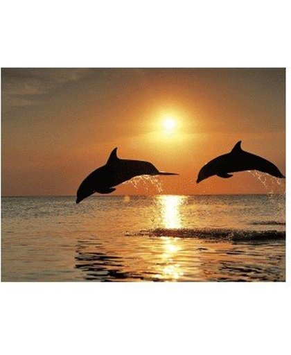 Full Diamond Painting - Dolfijnen bij Zonsondergang