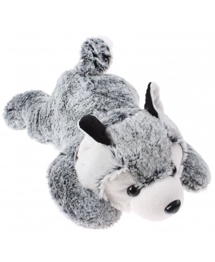 Eddy Toys knuffel hond husky grijs/groen 27 cm
