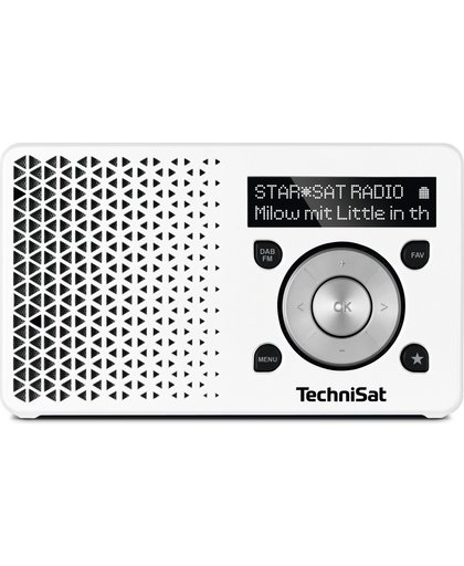 TechniSat DigitRadio 1 Draagbaar Digitaal Zilver, Wit radio