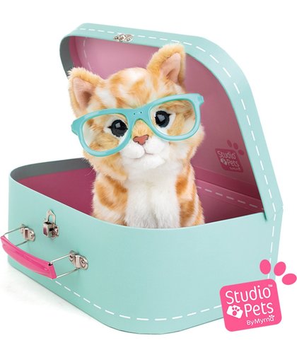 RayBen - Studio Pets pluche Kitten rood incl. koffer