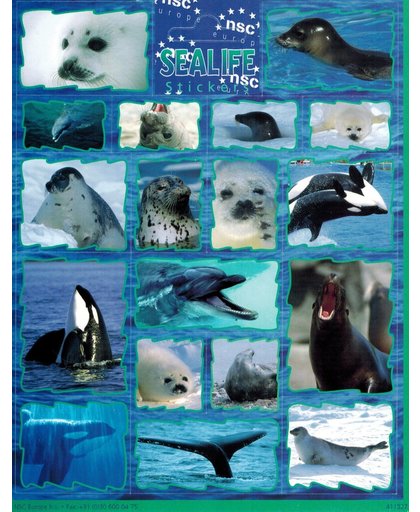 Sealife Dieren Stickers - Dolfijn, Zeehond, Orka