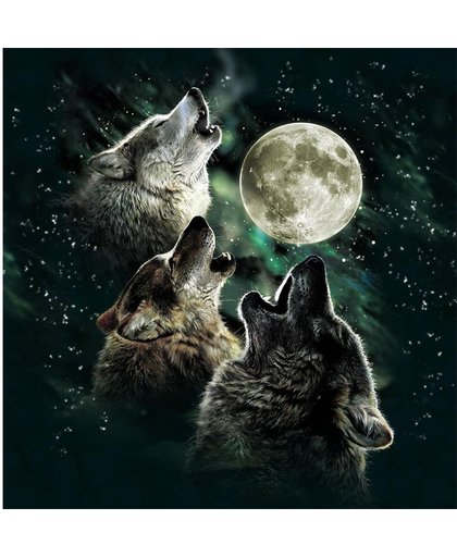 Diamond Painting 3 wolven