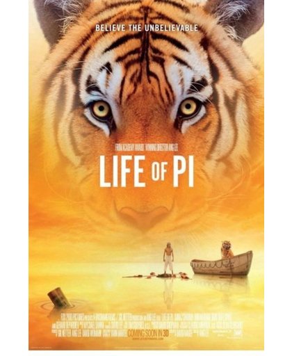 Speelfilm - Life Of Pi