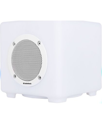 AudioSonic SK-1539 LED Outdoor speaker