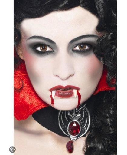 Vampier Make Up Set, with Fangs, Sponge, Face Paint and Blood in a Tube, on Display Card