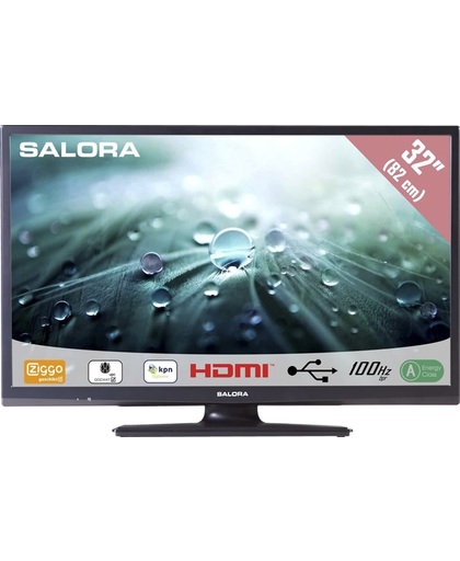 Salora 32LED9100C - HD ready tv