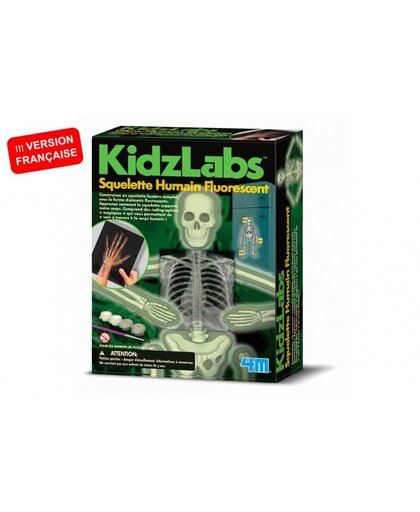 4M KidzLabs fluorescerend skelet 7 delig